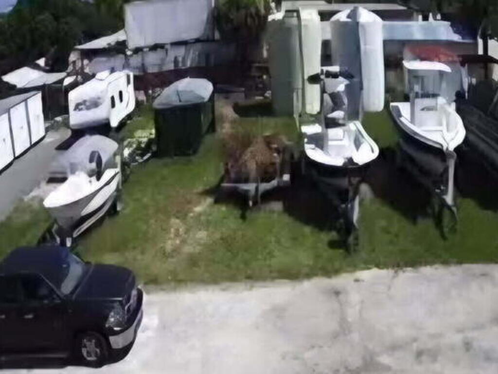 102 Woodland Avenue, Cocoa Beach, FL 32931