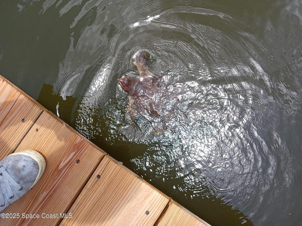 112 Sunset Drive, Cocoa Beach, FL 32931