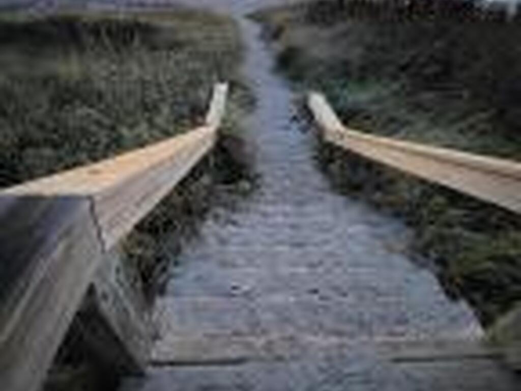 211 Cherie Down Lane, Cape Canaveral, FL 32920