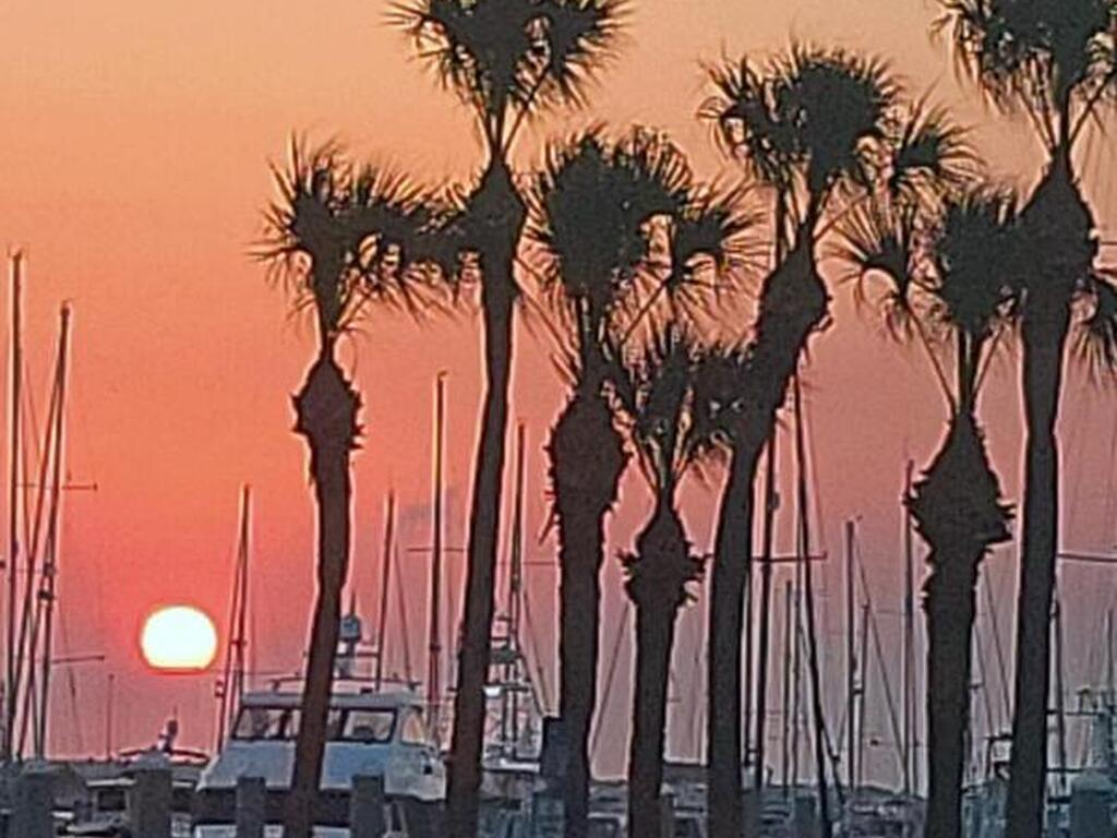 211 Cherie Down Lane, Cape Canaveral, FL 32920