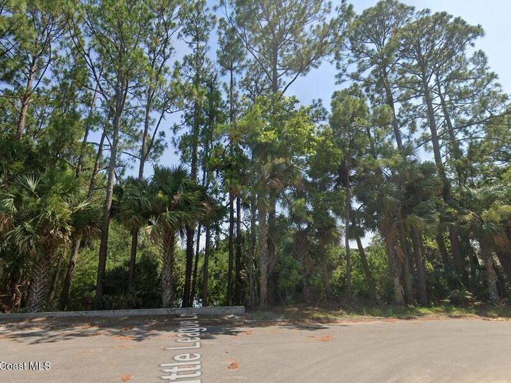 Tbd Little League Lane, Titusville, FL 32780