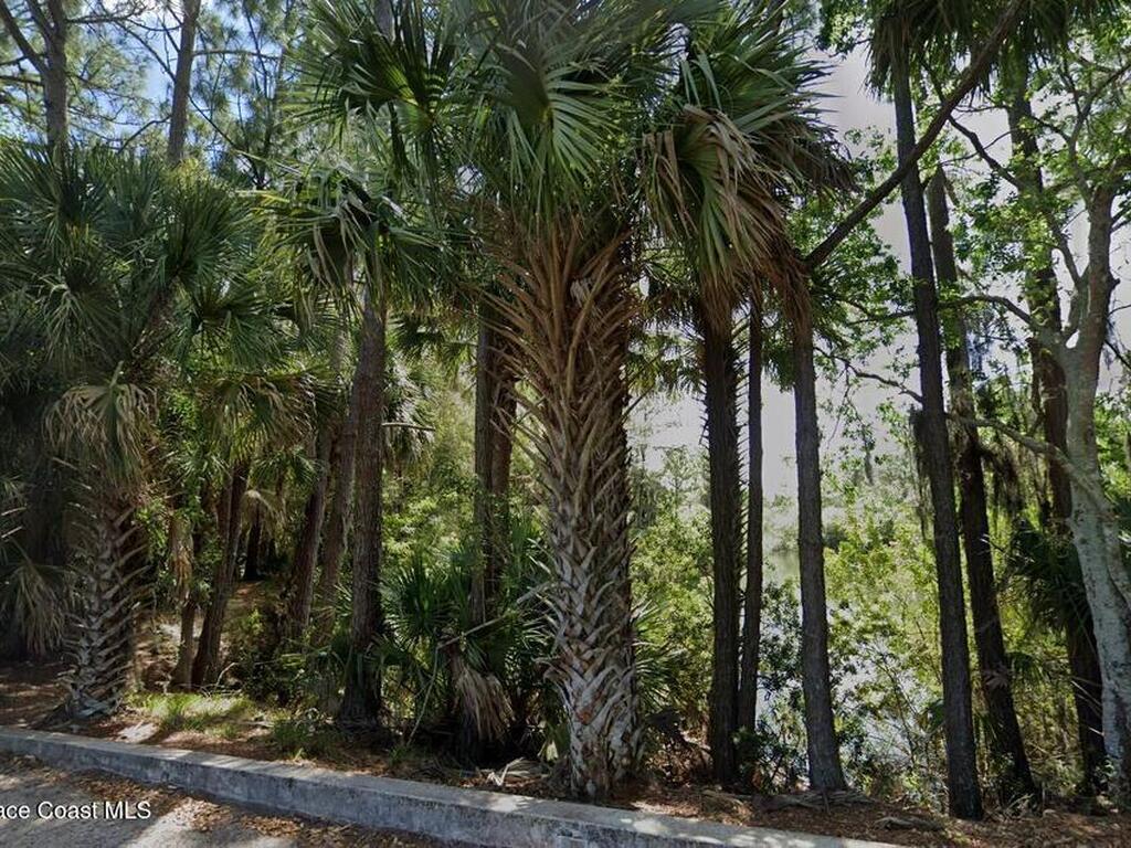 Tbd Little League Lane, Titusville, FL 32780