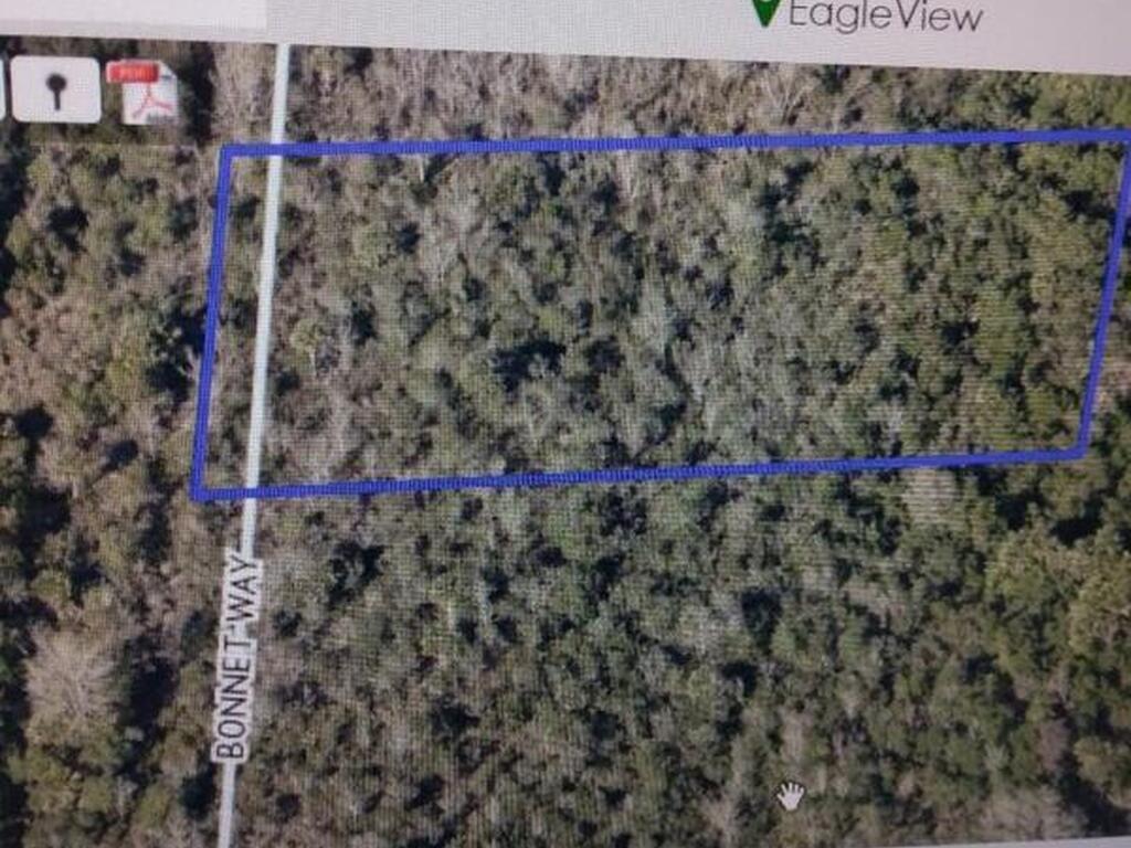Mario Avenue, Cocoa, FL 32926