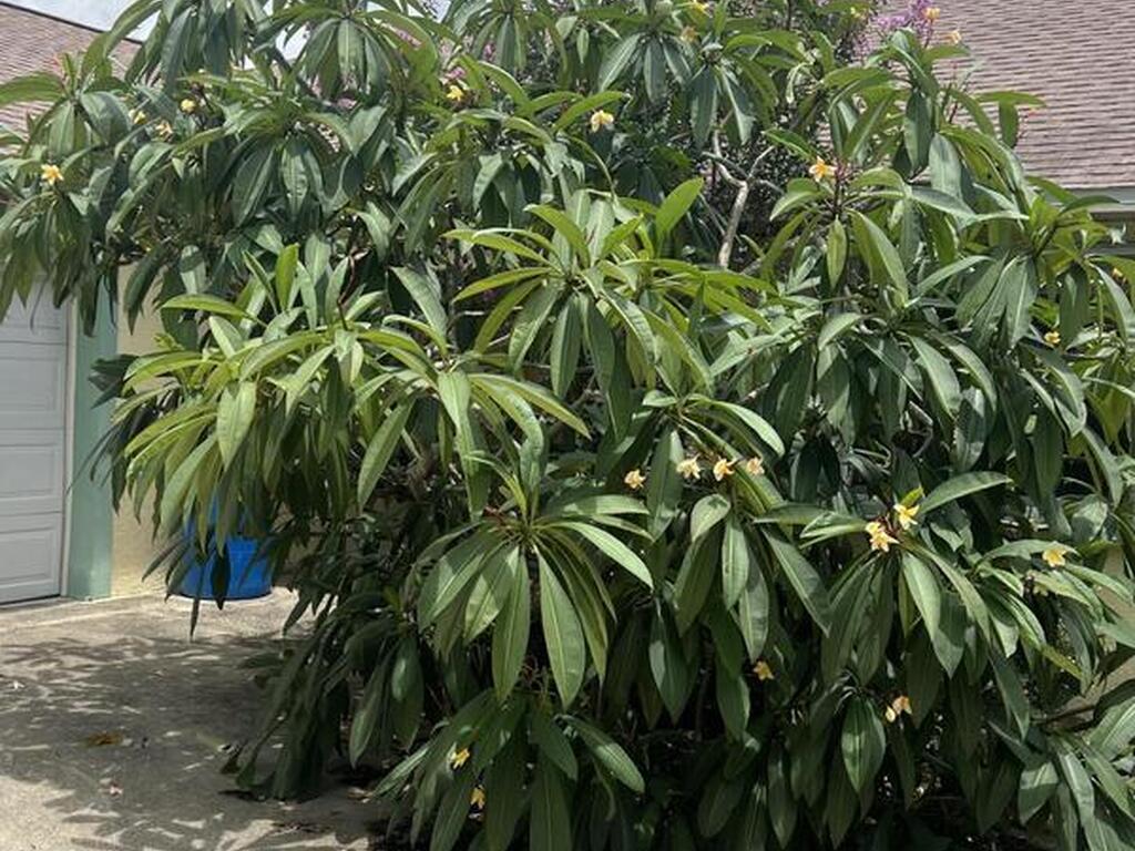 4220 Robins Hill Court, Mims, FL 32754