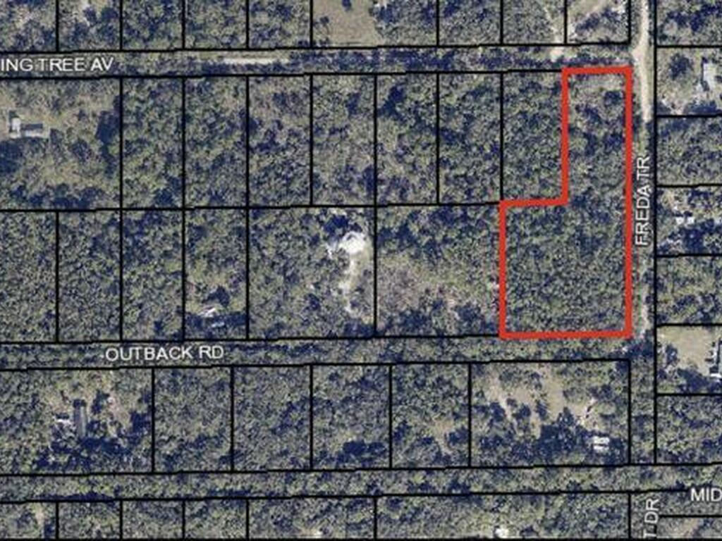 Burning Tree Avenue, Cocoa, FL 32926