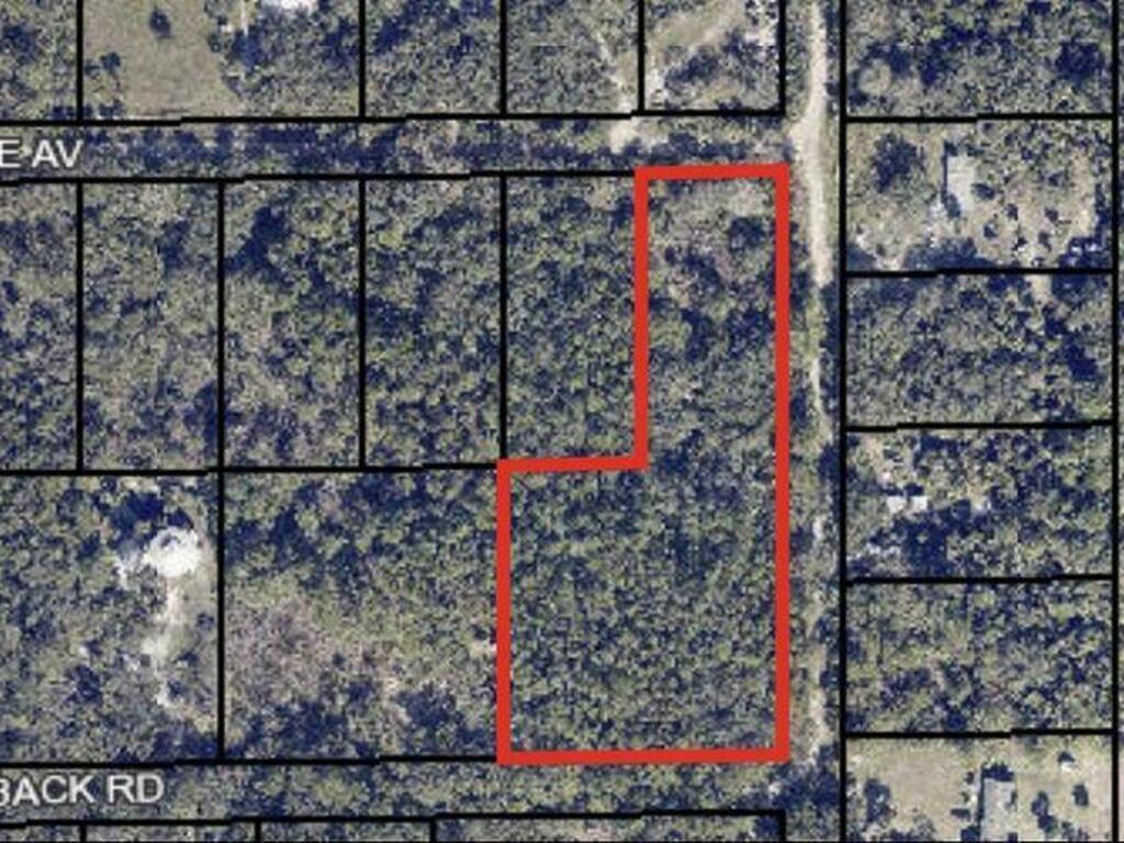 Burning Tree Avenue, Cocoa, FL 32926