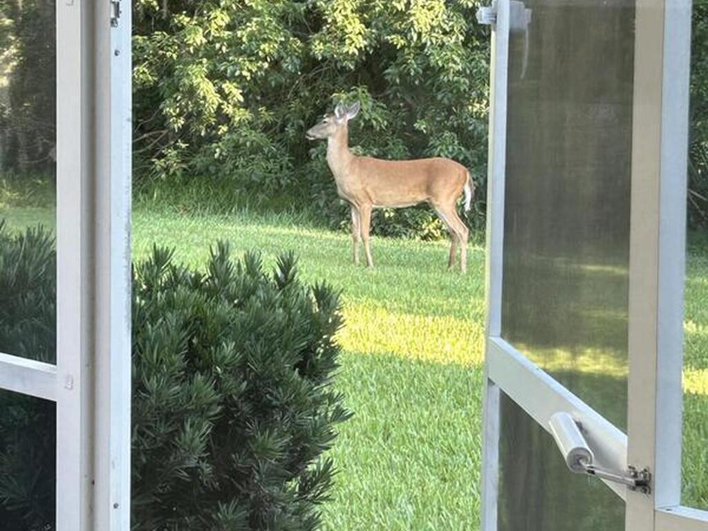 5670 Bob White Trail, Mims, FL 32754