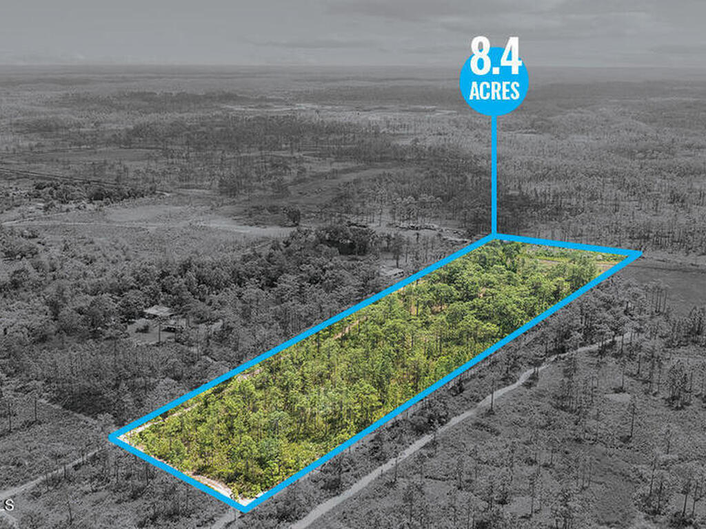 Palm Frond Road, St. Cloud, FL 34773