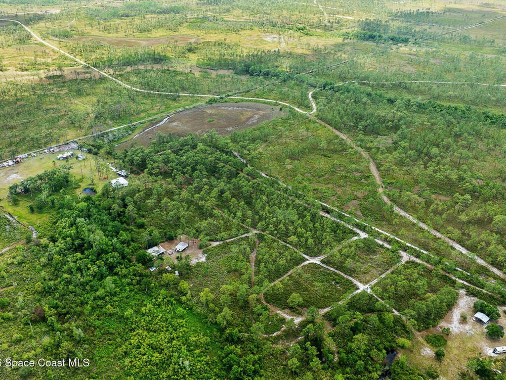 Palm Frond Road, St. Cloud, FL 34773