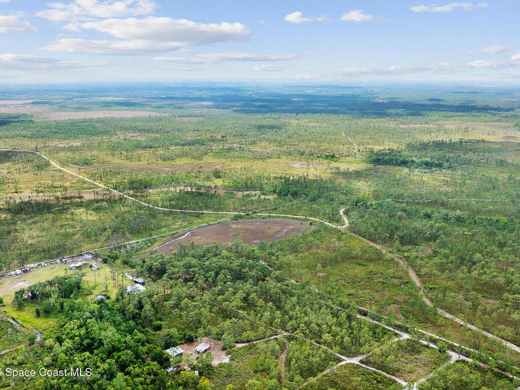 Palm Frond Road, St. Cloud, FL 34773