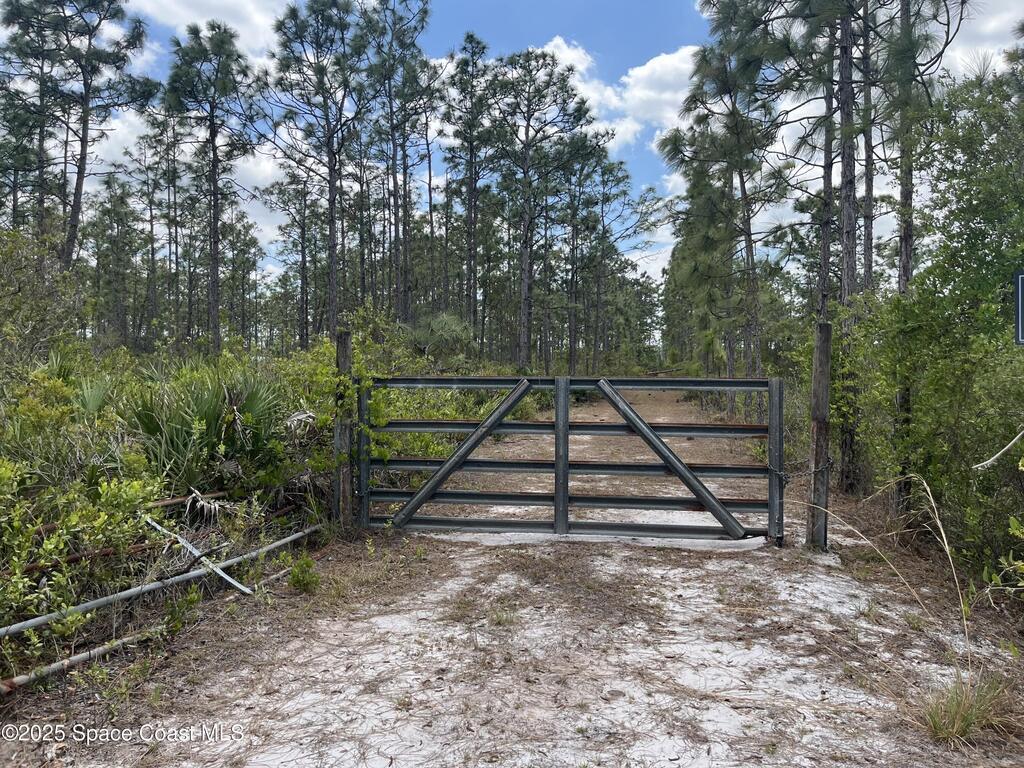 Palm Frond Road, St. Cloud, FL 34773