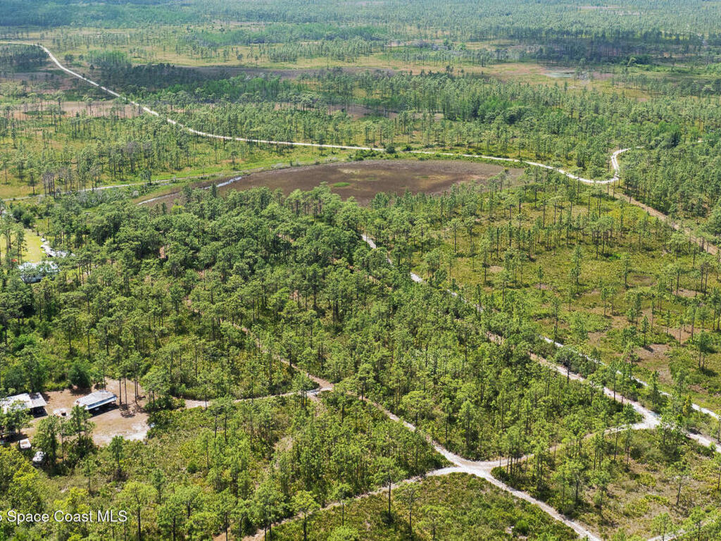 Palm Frond Road, St. Cloud, FL 34773