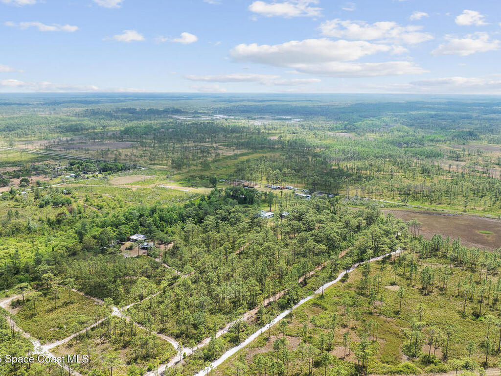 Palm Frond Road, St. Cloud, FL 34773