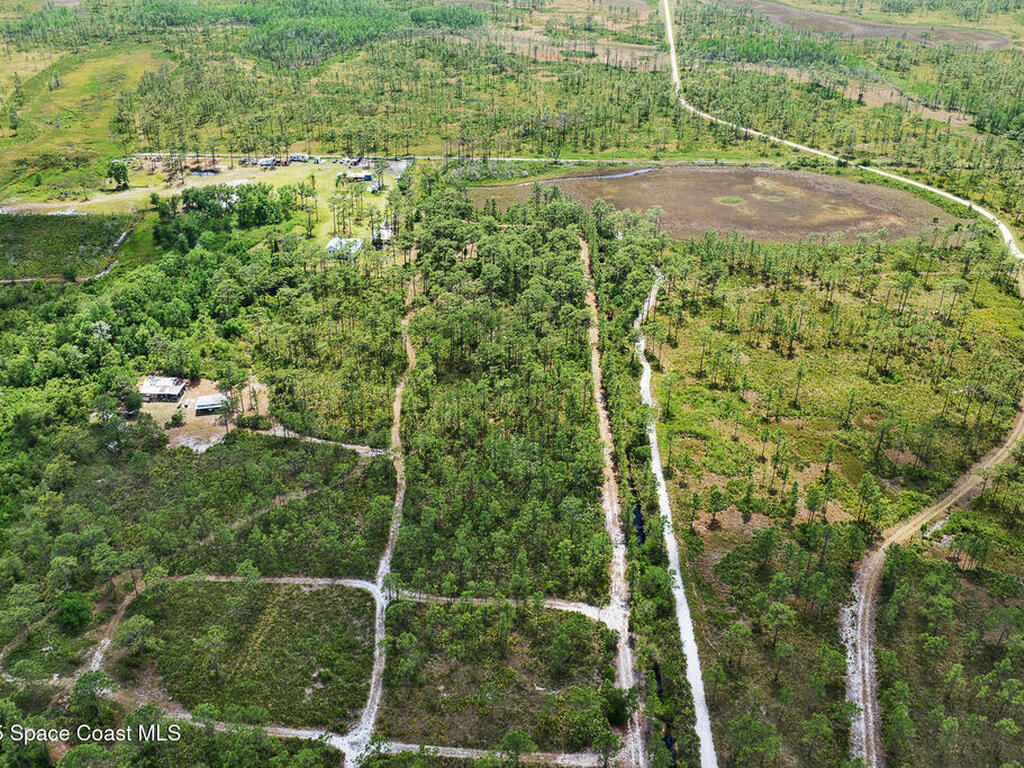 Palm Frond Road, St. Cloud, FL 34773