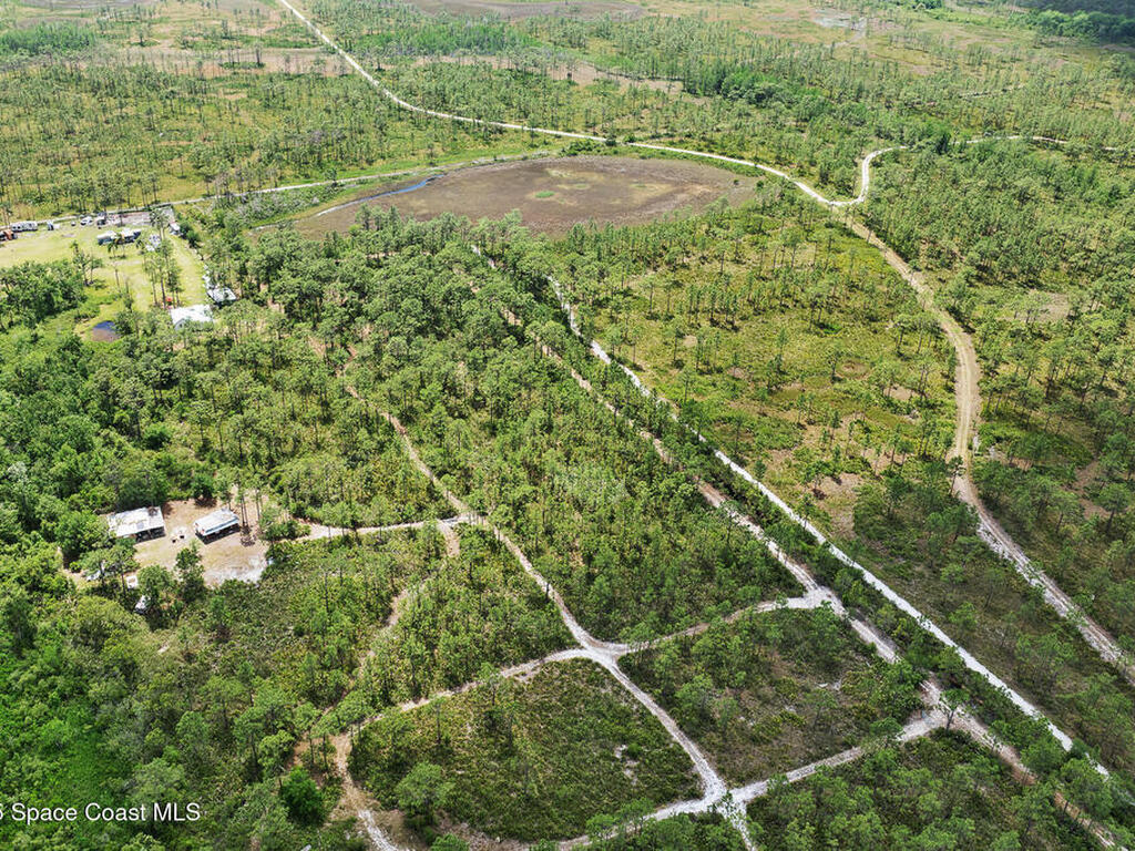 Palm Frond Road, St. Cloud, FL 34773