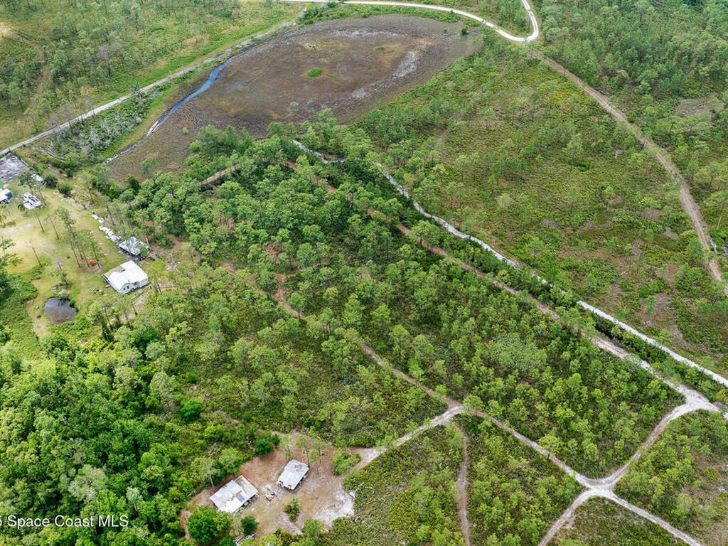 Palm Frond Road, St. Cloud, FL 34773