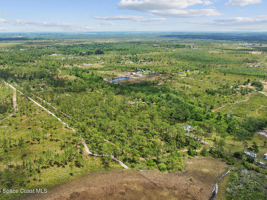Palm Frond Road, St. Cloud, FL 34773