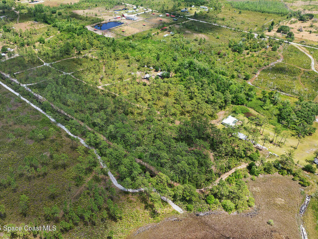 Palm Frond Road, St. Cloud, FL 34773