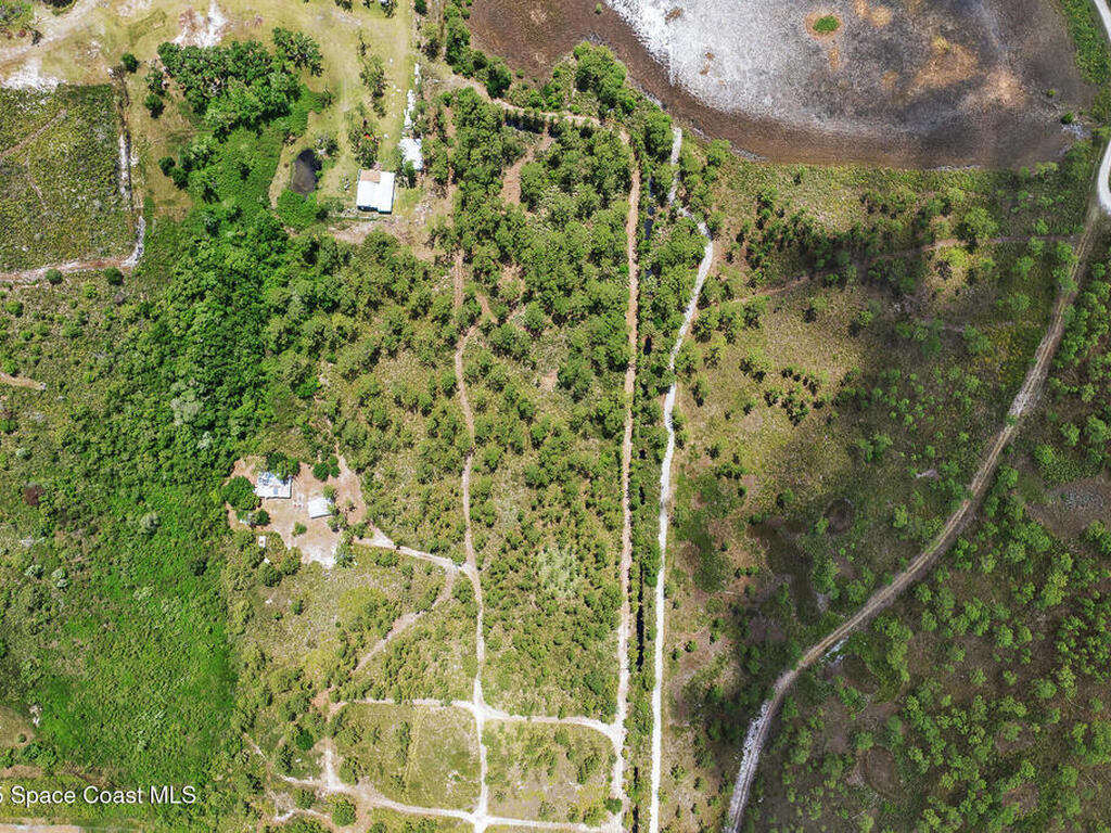 Palm Frond Road, St. Cloud, FL 34773