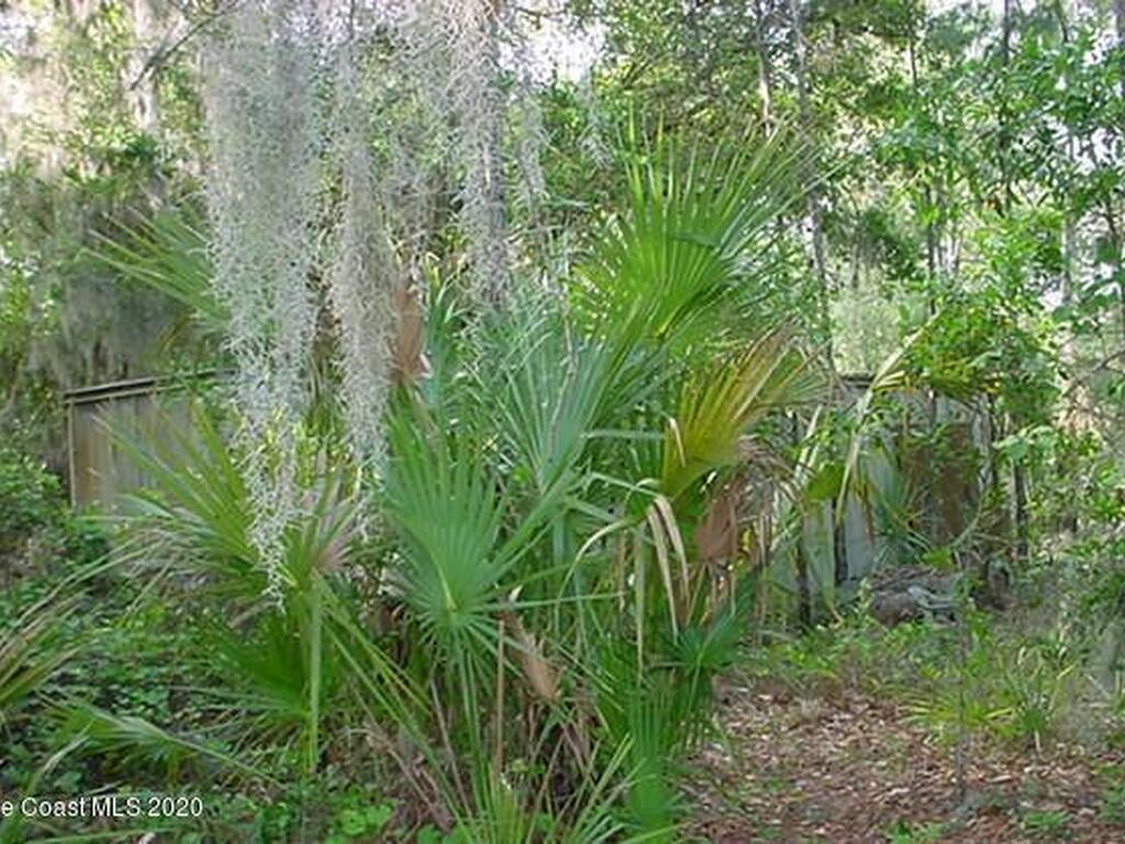 Sisson Road, Titusville, FL 32780