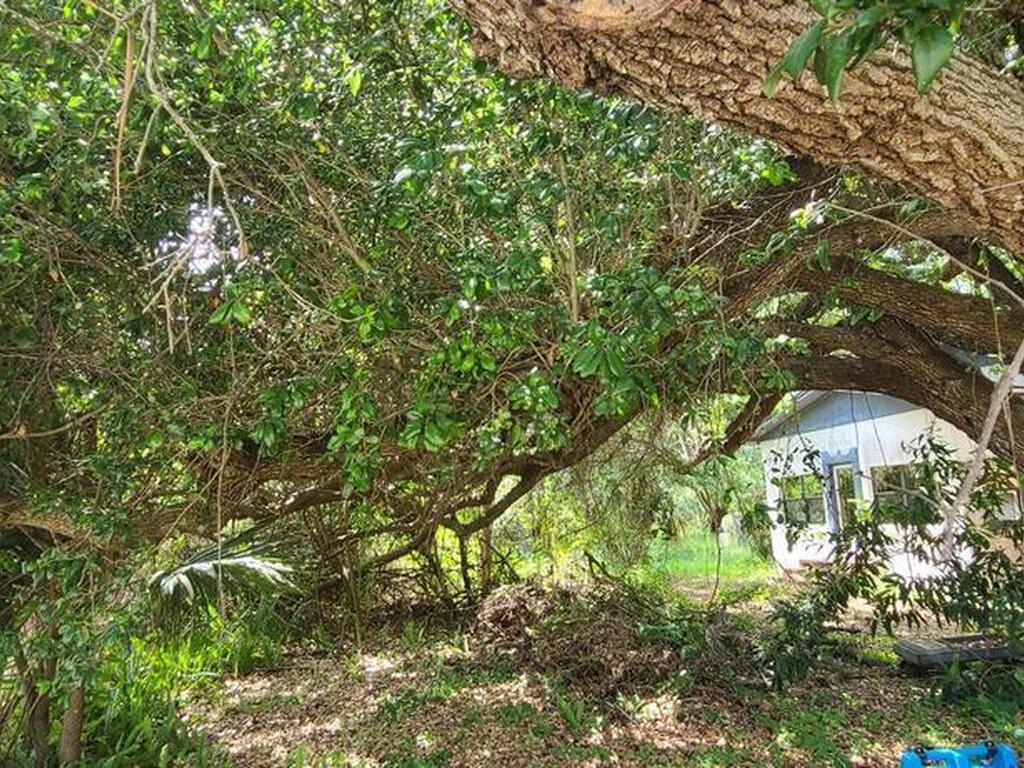 920 Malabar Road, Malabar, FL 32950