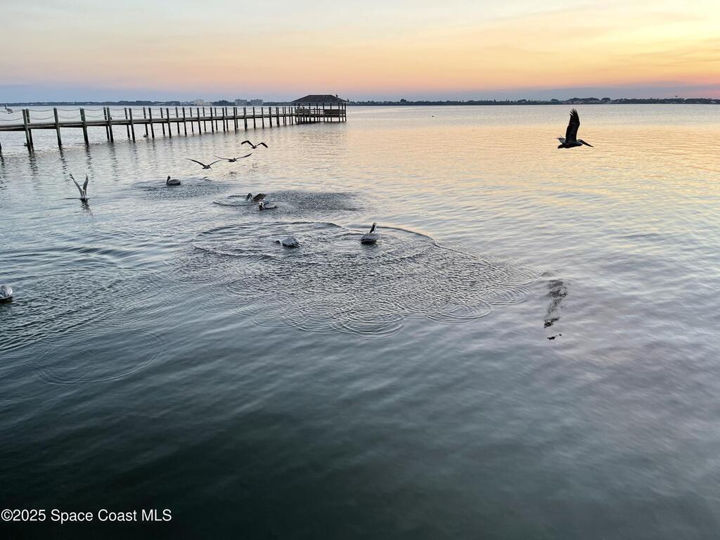 773 Carousel Lane, Melbourne Beach, FL 32951