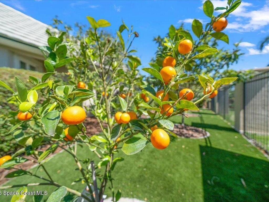 240 Lansing Island Drive, Indian Harbour Beach, FL 32937