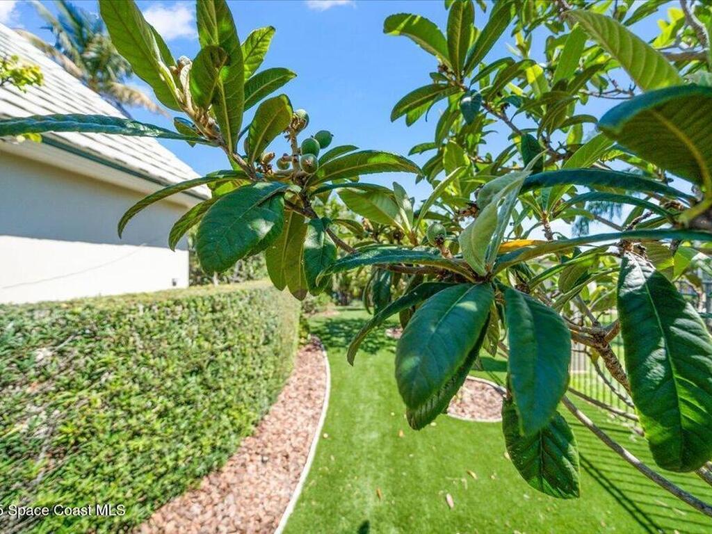 240 Lansing Island Drive, Indian Harbour Beach, FL 32937