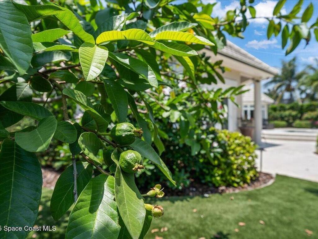 240 Lansing Island Drive, Indian Harbour Beach, FL 32937