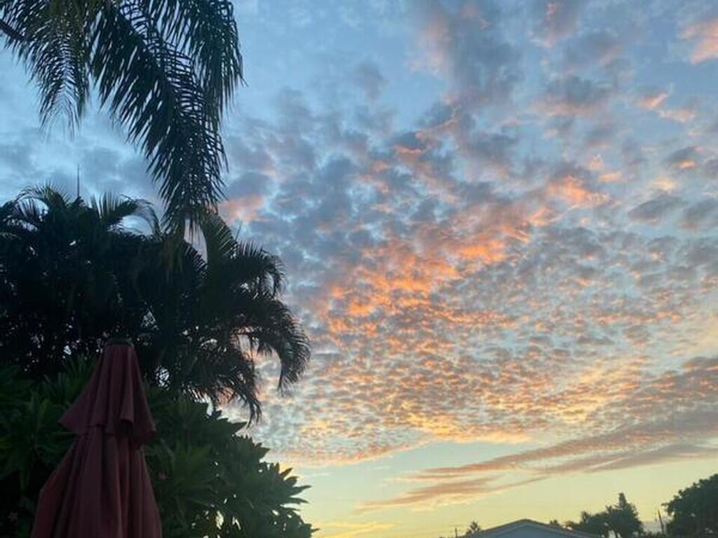 319 Dorset Drive, Cocoa Beach, FL 32931