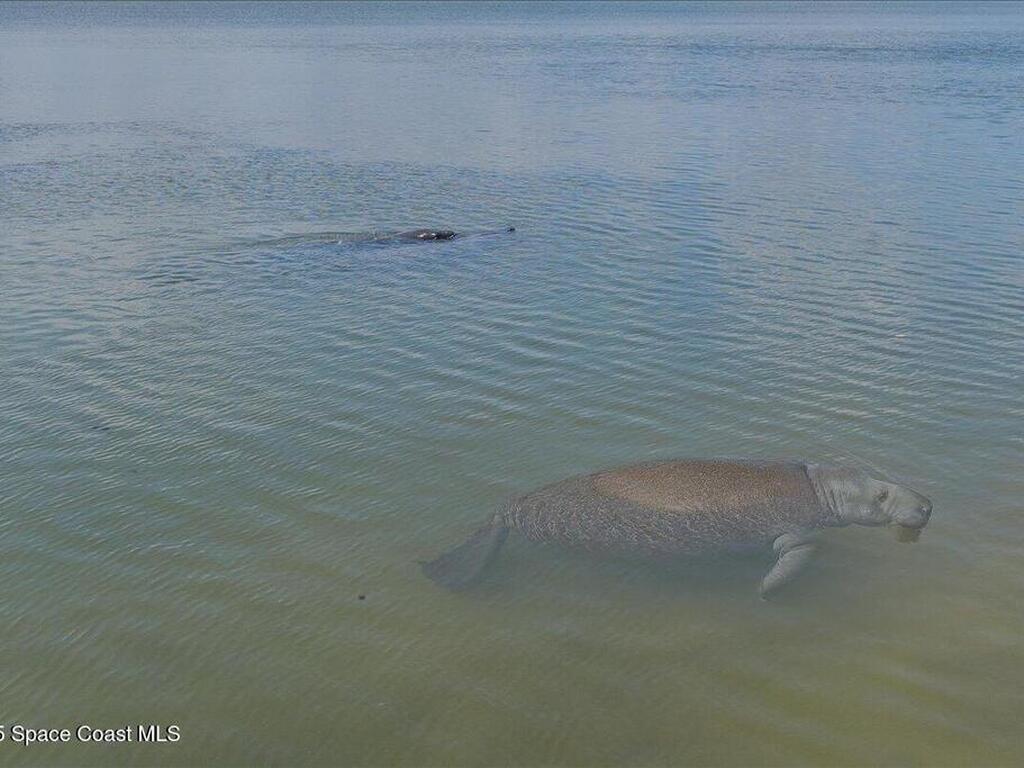 7008 Sevilla Court, Cape Canaveral, FL 32920