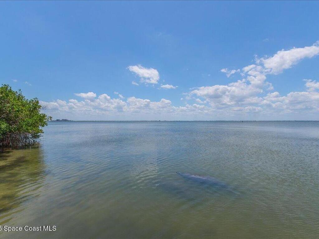 7008 Sevilla Court, Cape Canaveral, FL 32920