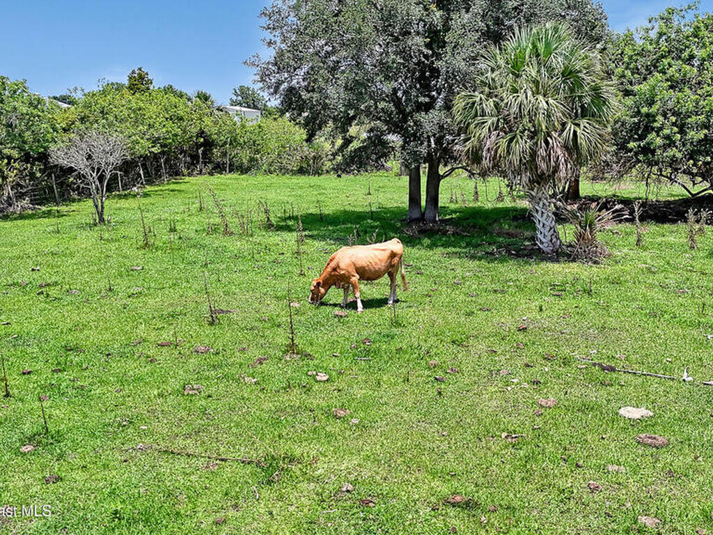 0000 Orlando Avenue, Mims, FL 32754