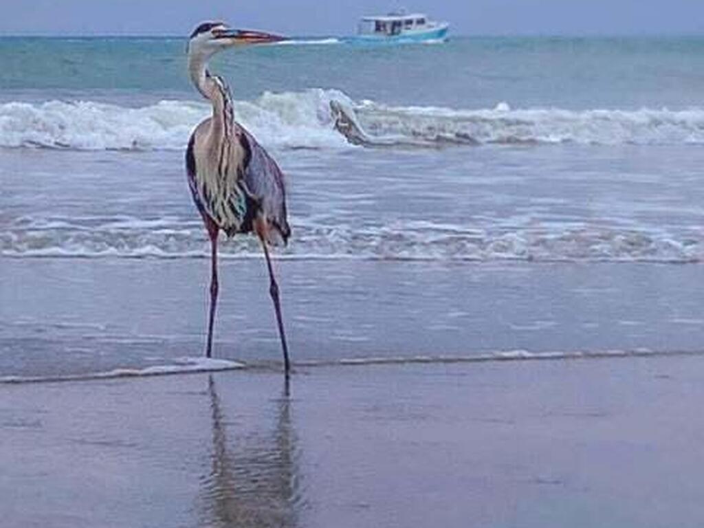 403 Seaport Boulevard, Cape Canaveral, FL 32920