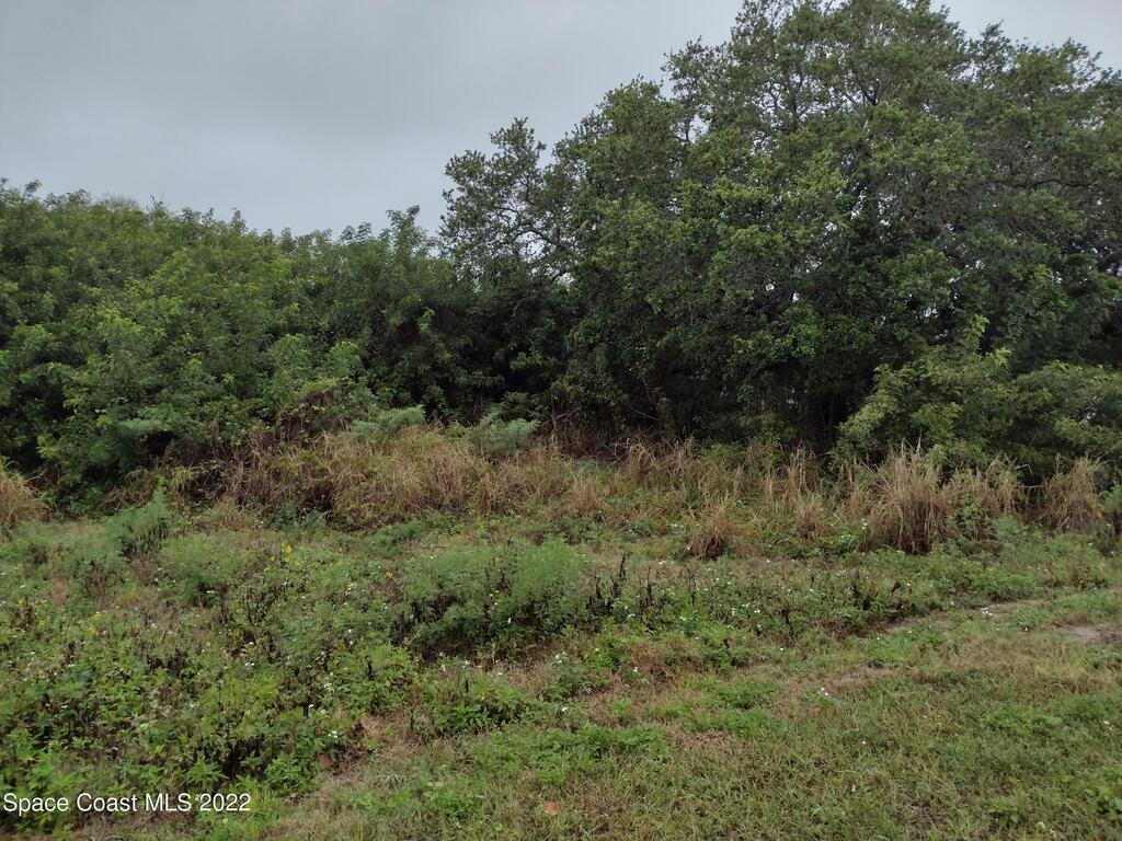 000 N Atlantic Avenue, Cocoa Beach, FL 32920