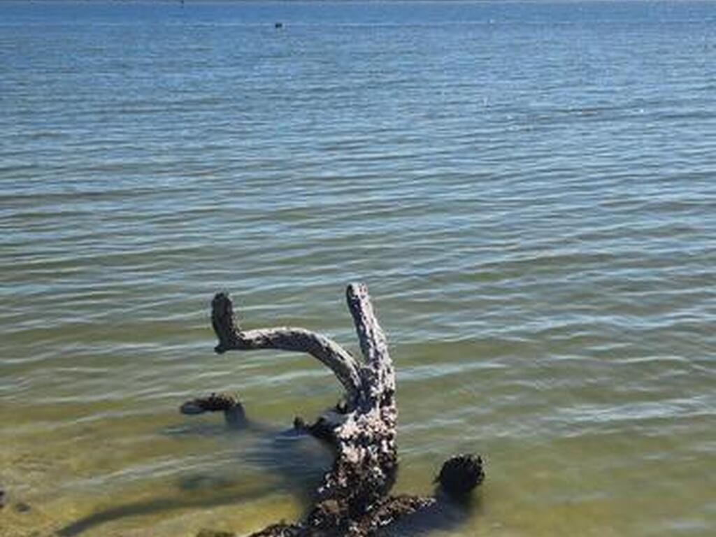 2880 S Atlantic Avenue, Cocoa Beach, FL 32931