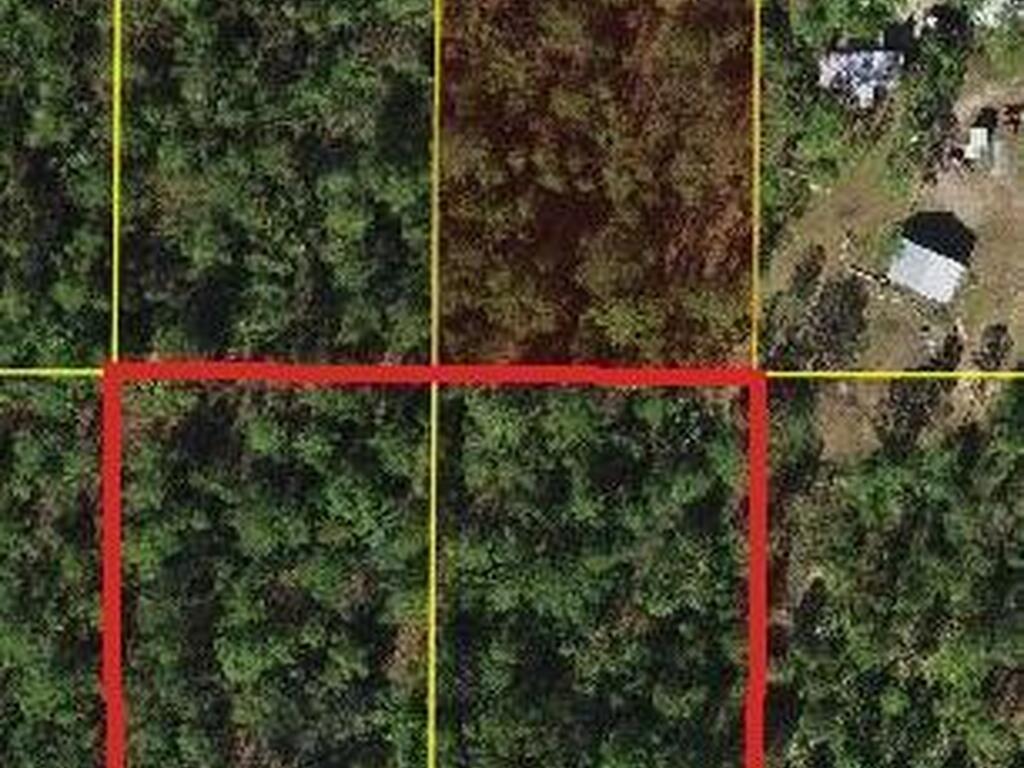 Holopaw Groves, St. Cloud, FL 34773