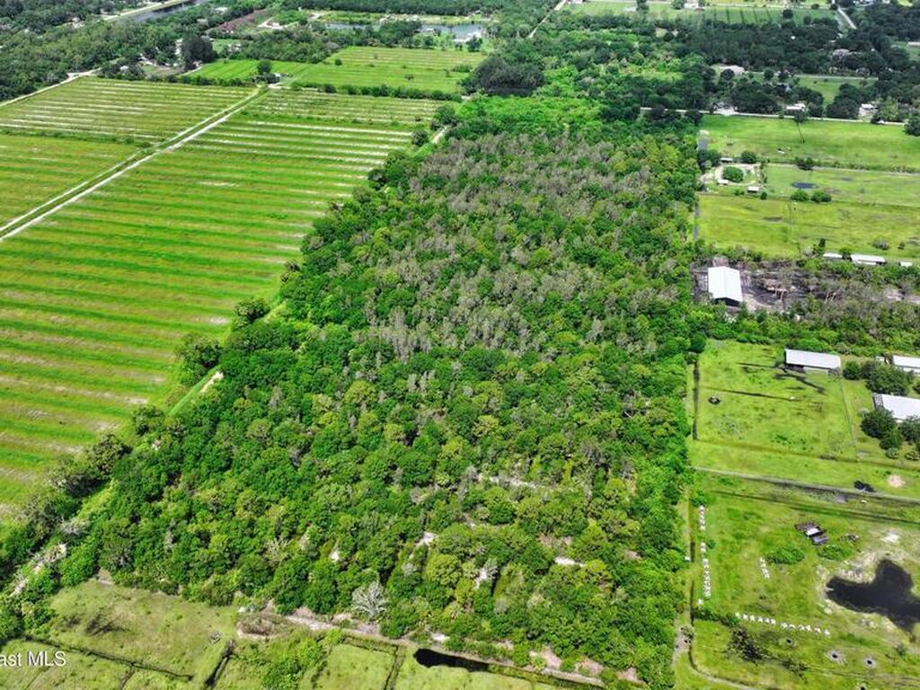 13380 101st Street, Fellsmere, FL 32948