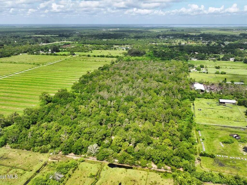 13380 101st Street, Fellsmere, FL 32948