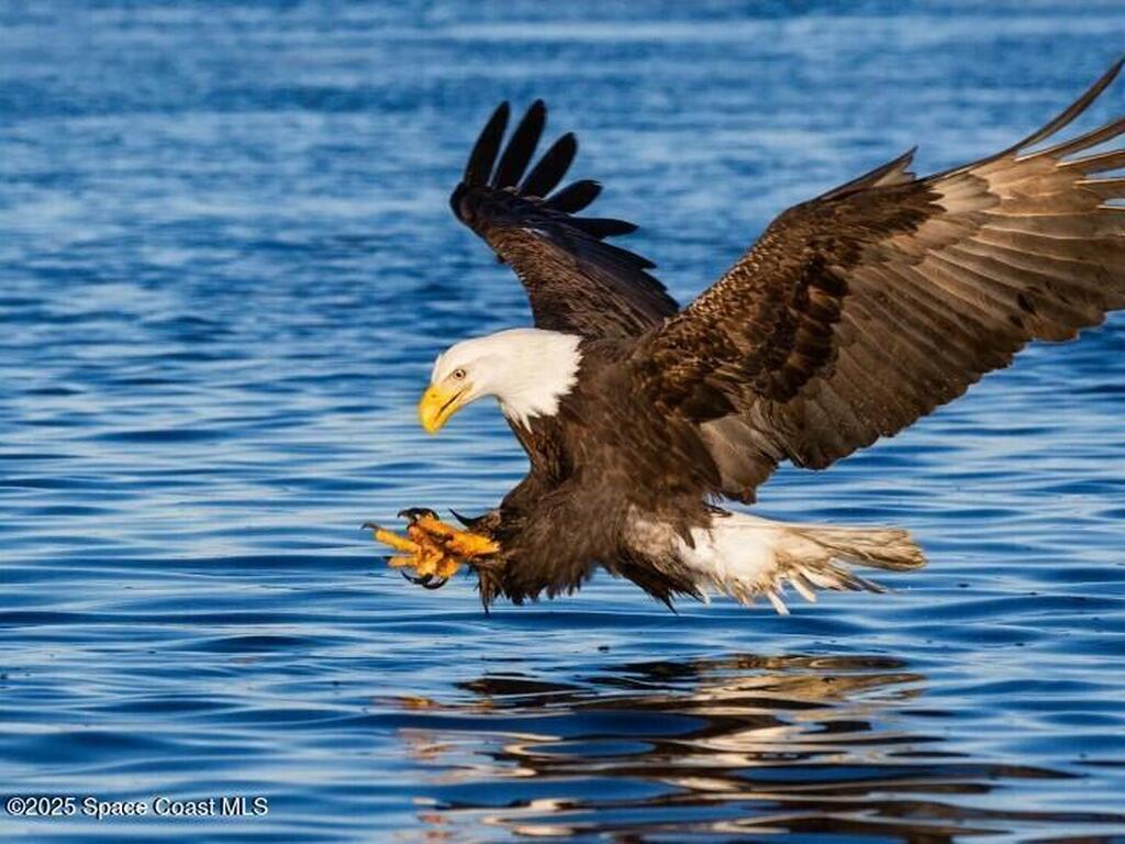 949 Altair Way, Grant-Valkaria, FL 32950