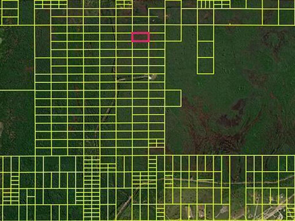 11120020 Holopaw Groves Road, Magnolia Square, FL 34771