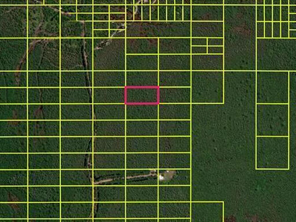 11120020 Holopaw Groves Road, Magnolia Square, FL 34771