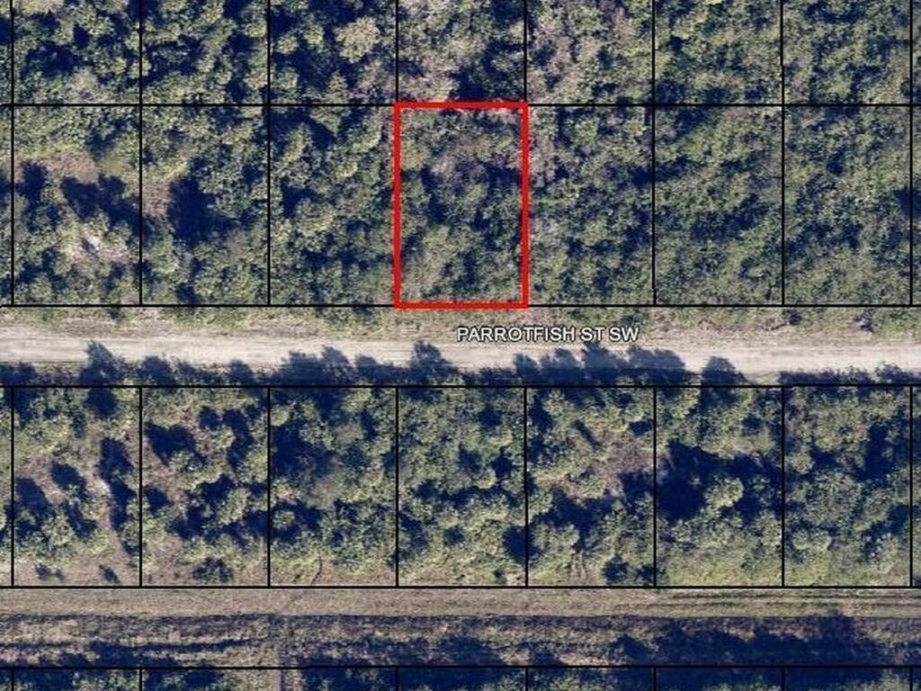 677 Parrotfish Street, Palm Bay, FL 32908