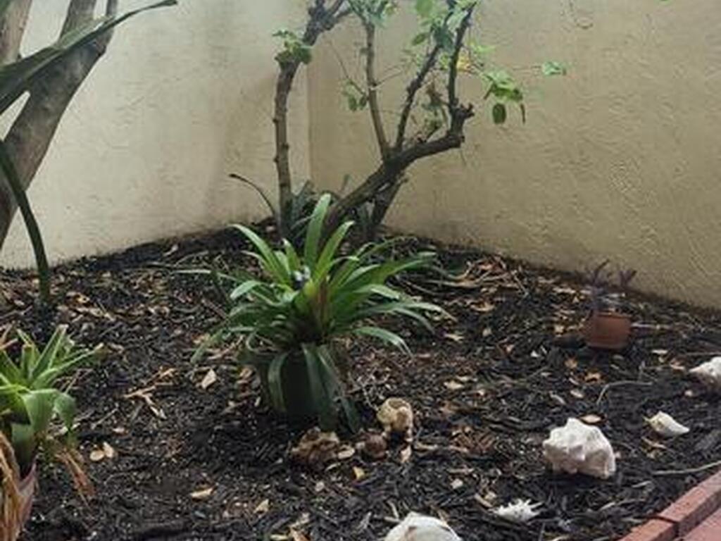 1611 Minutemen Causeway, Cocoa Beach, FL 32931