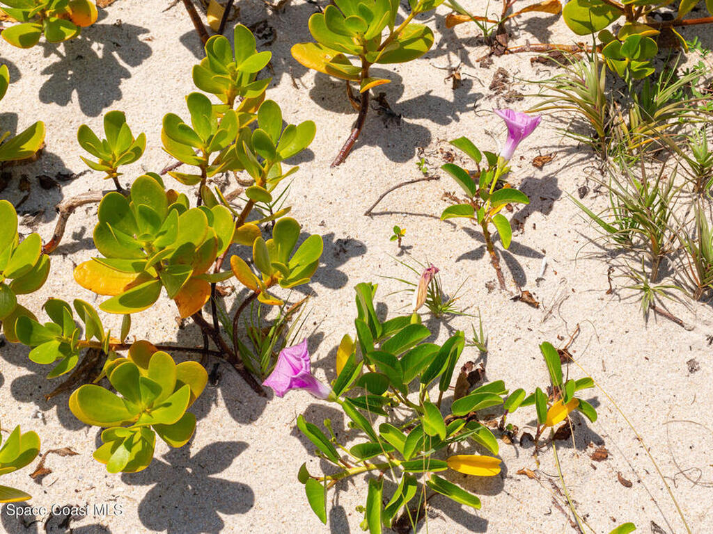 5635 Highway A1a, Melbourne Beach, FL 32951