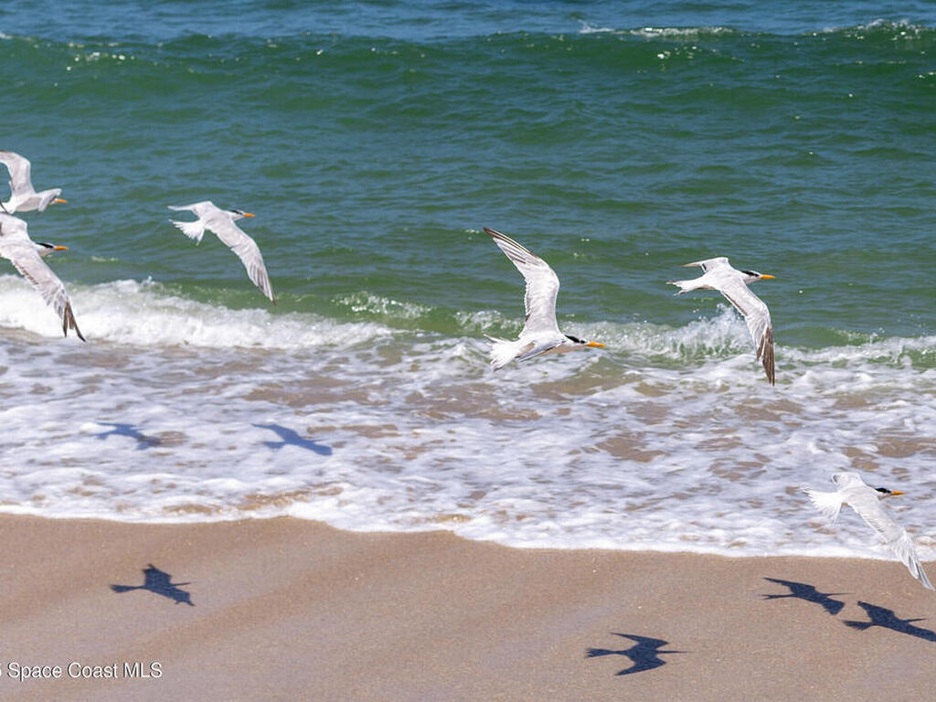 5635 Highway A1a, Melbourne Beach, FL 32951