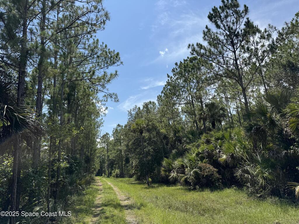 4300 Justa Road, Mims, FL 32754