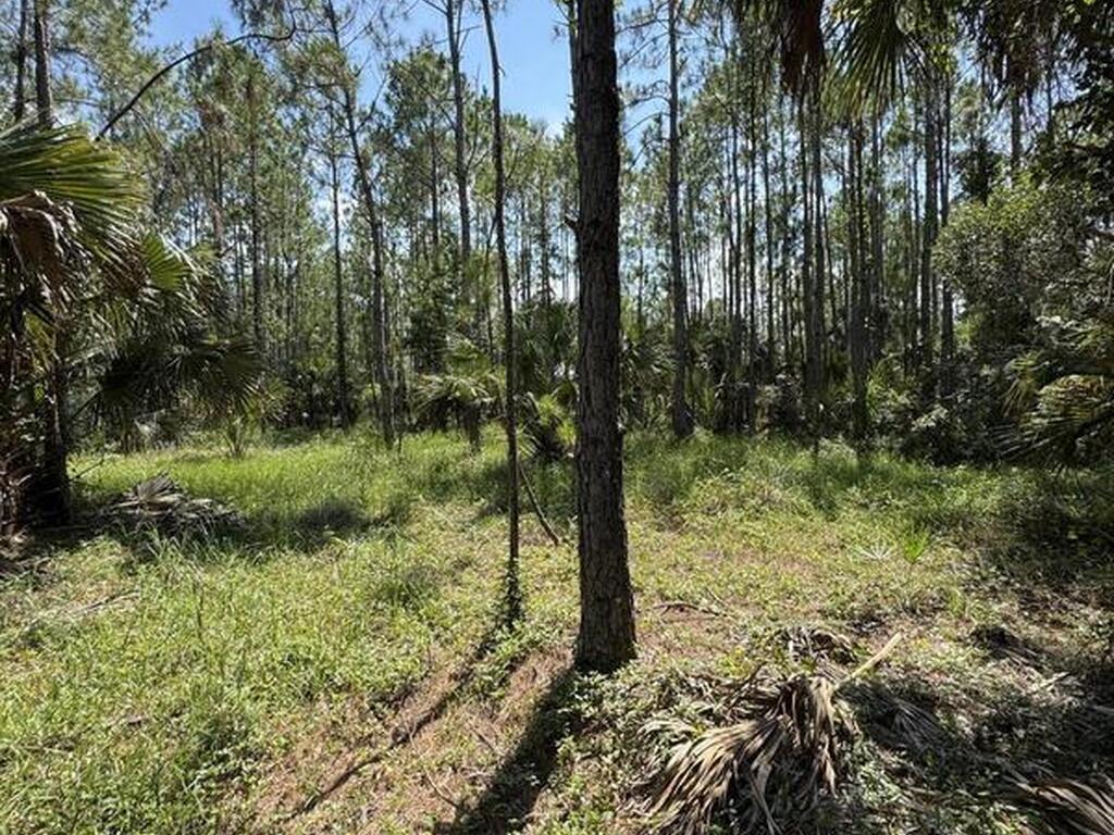 4300 Justa Road, Mims, FL 32754