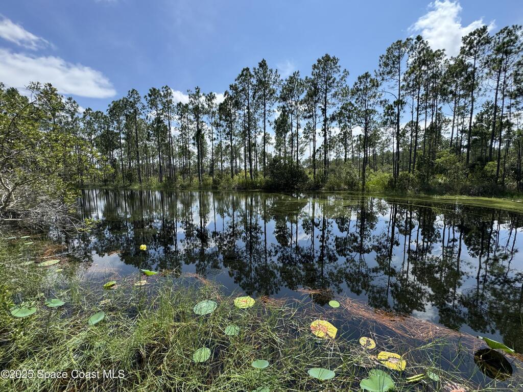 4300 Justa Road, Mims, FL 32754