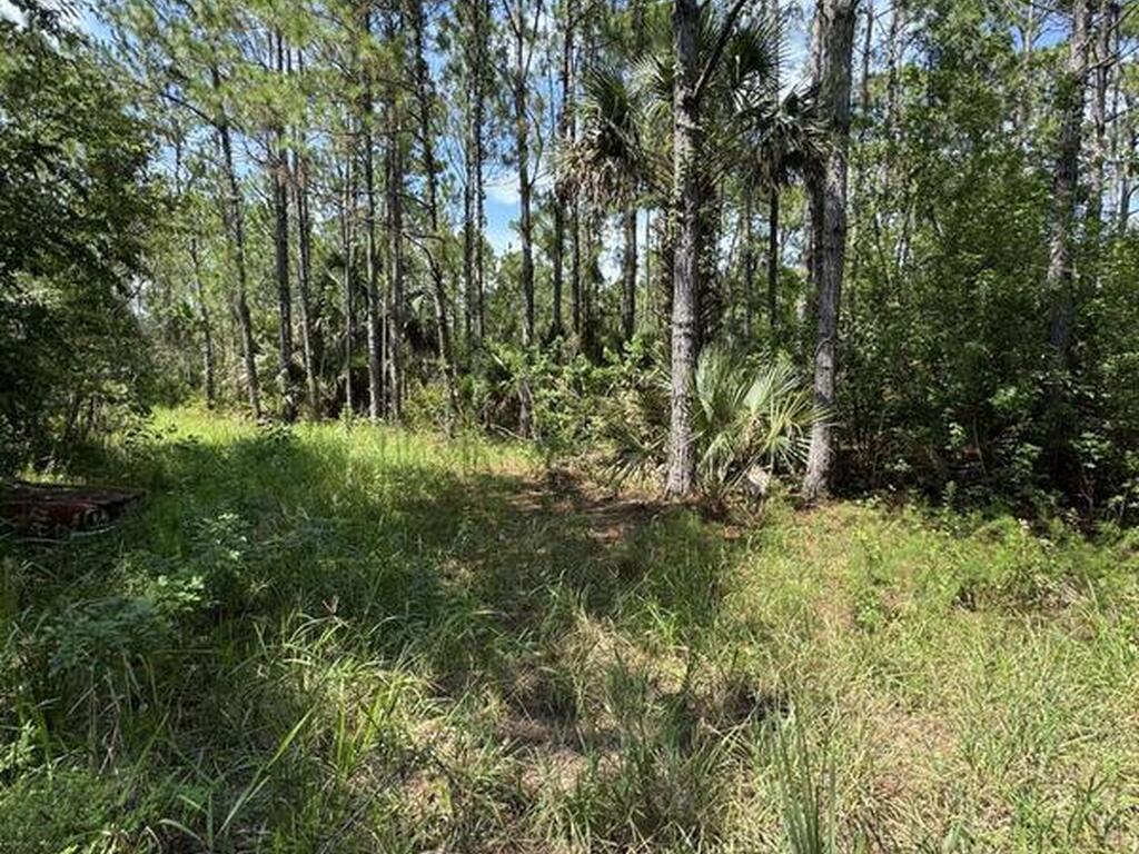 4300 Justa Road, Mims, FL 32754